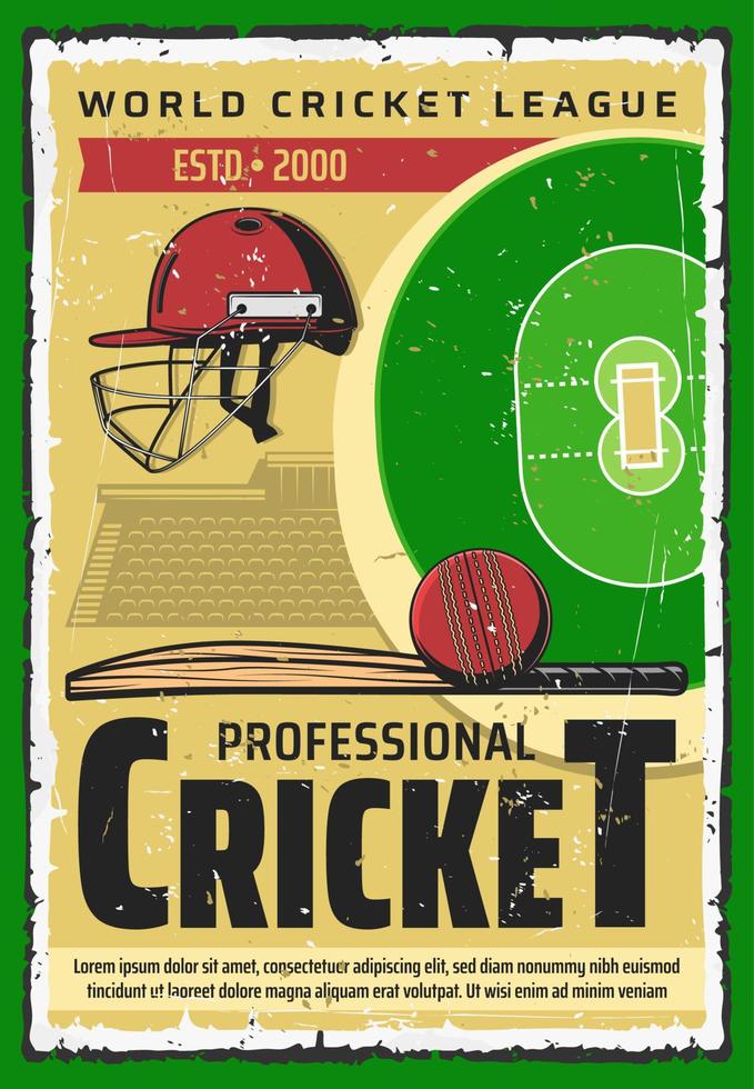Cricket field and sports game equipment on stadium vector