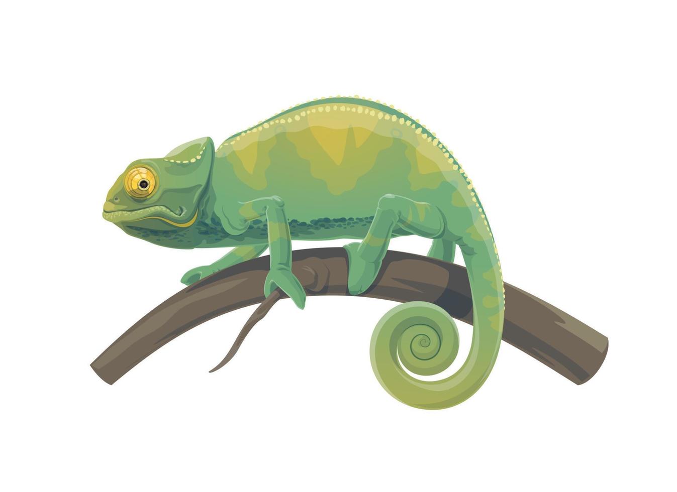 Chameleon lizard of green tropical reptile animal vector