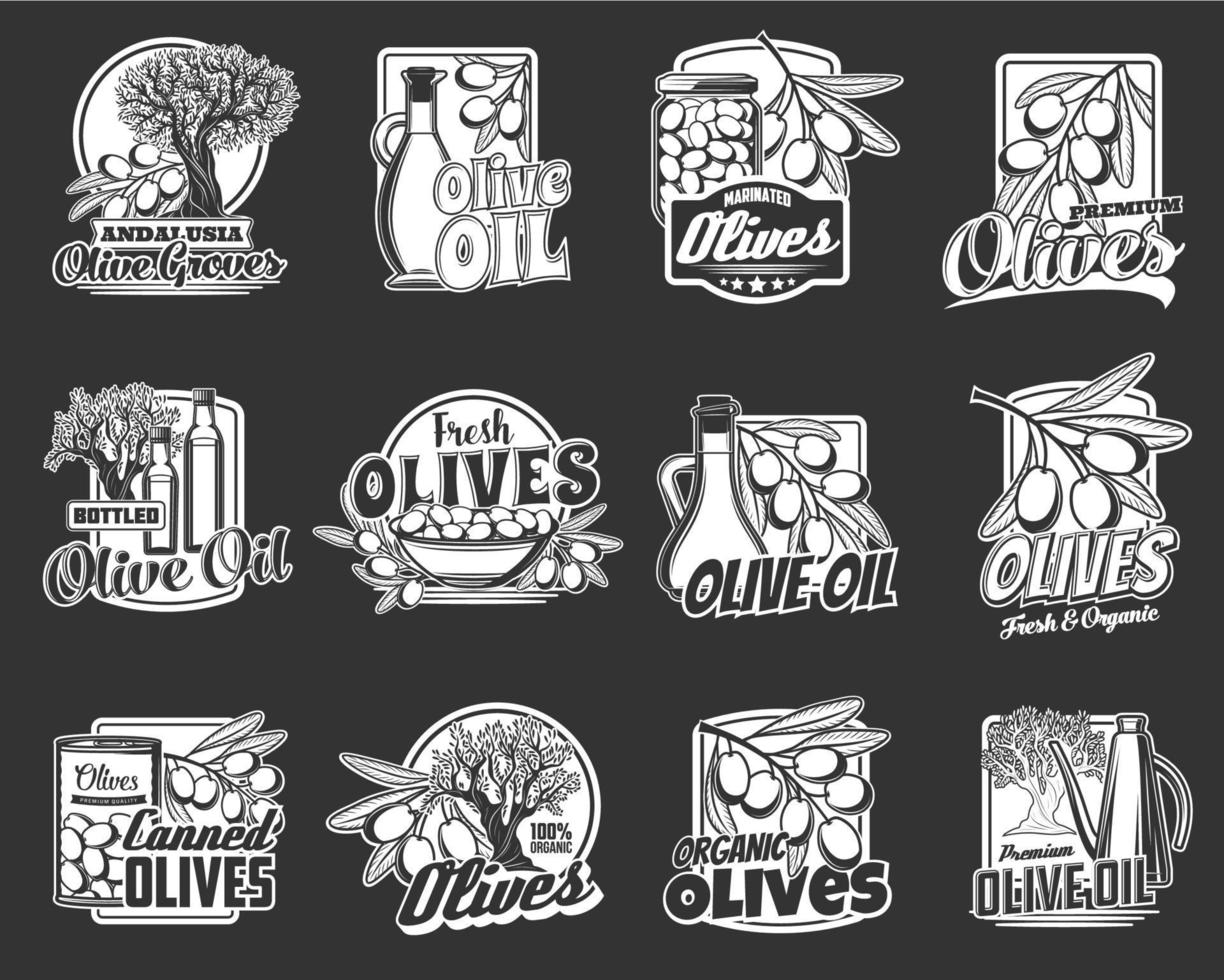 Olive oil and fuit icons with bottles, jars, trees vector