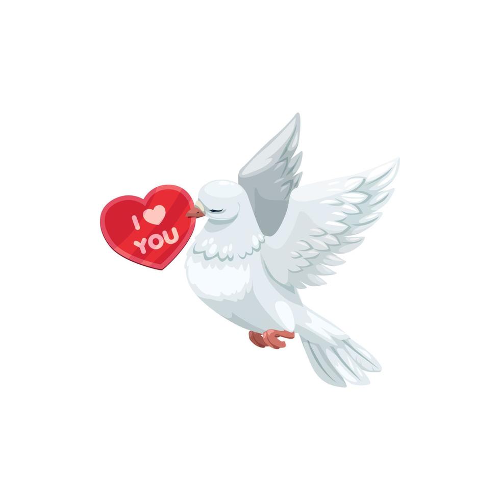 Heart shape card and white dove vector