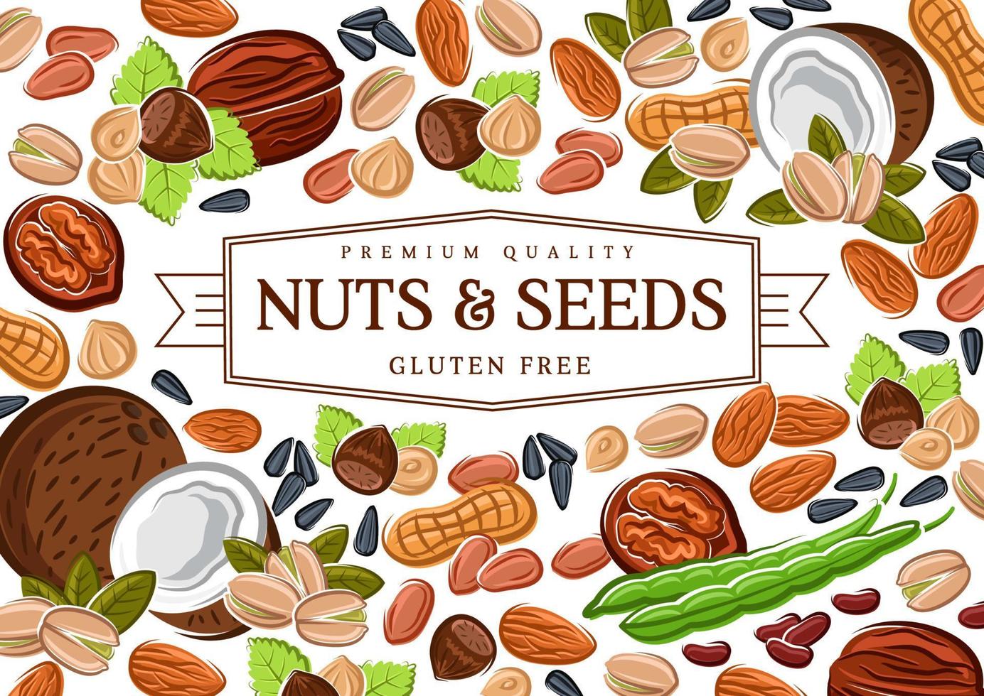 Gluten free nuts, cereals, beans vector