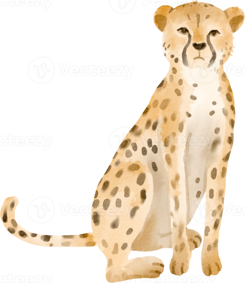 cheetah watercolor clip art png