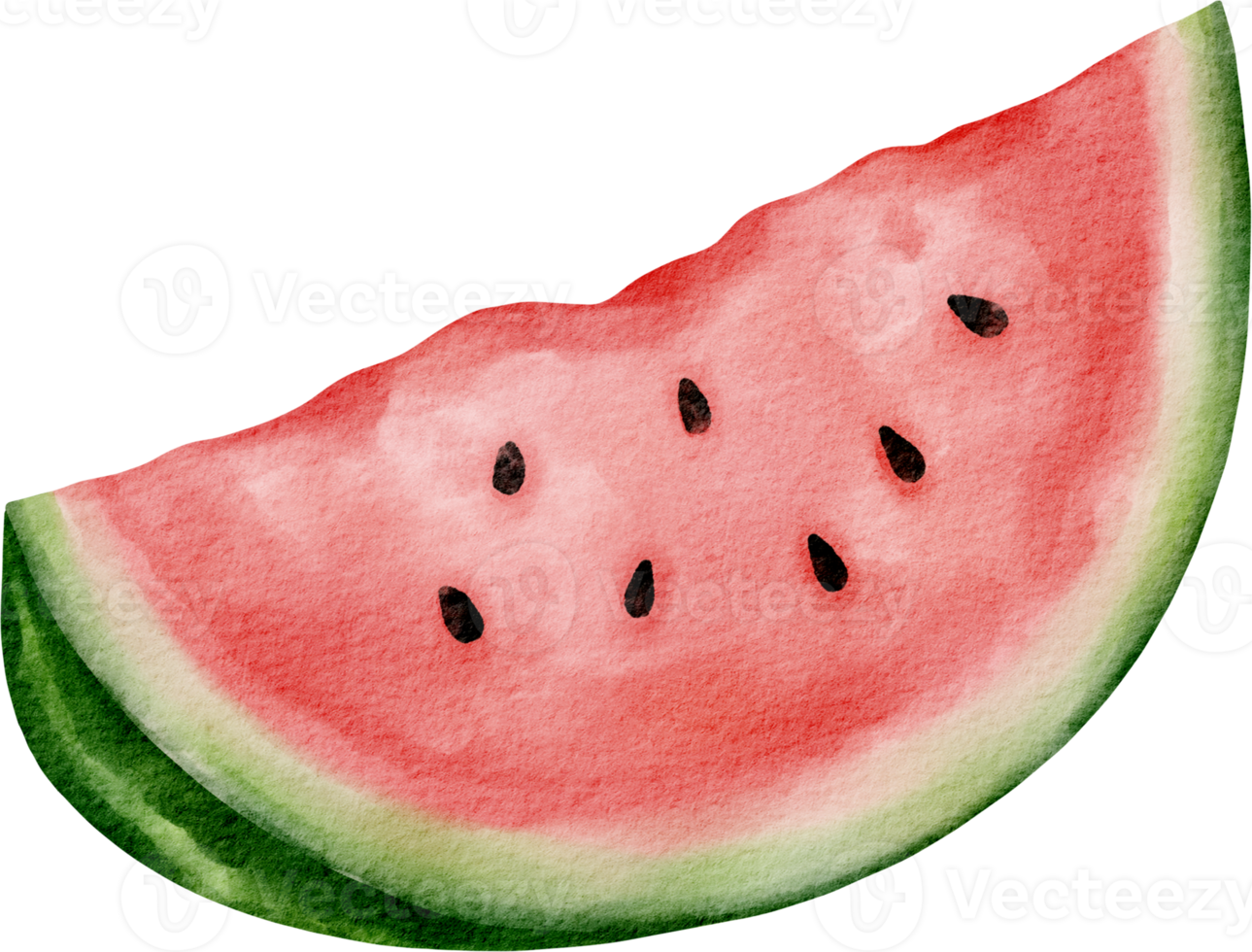 watercolor watermelon slice png