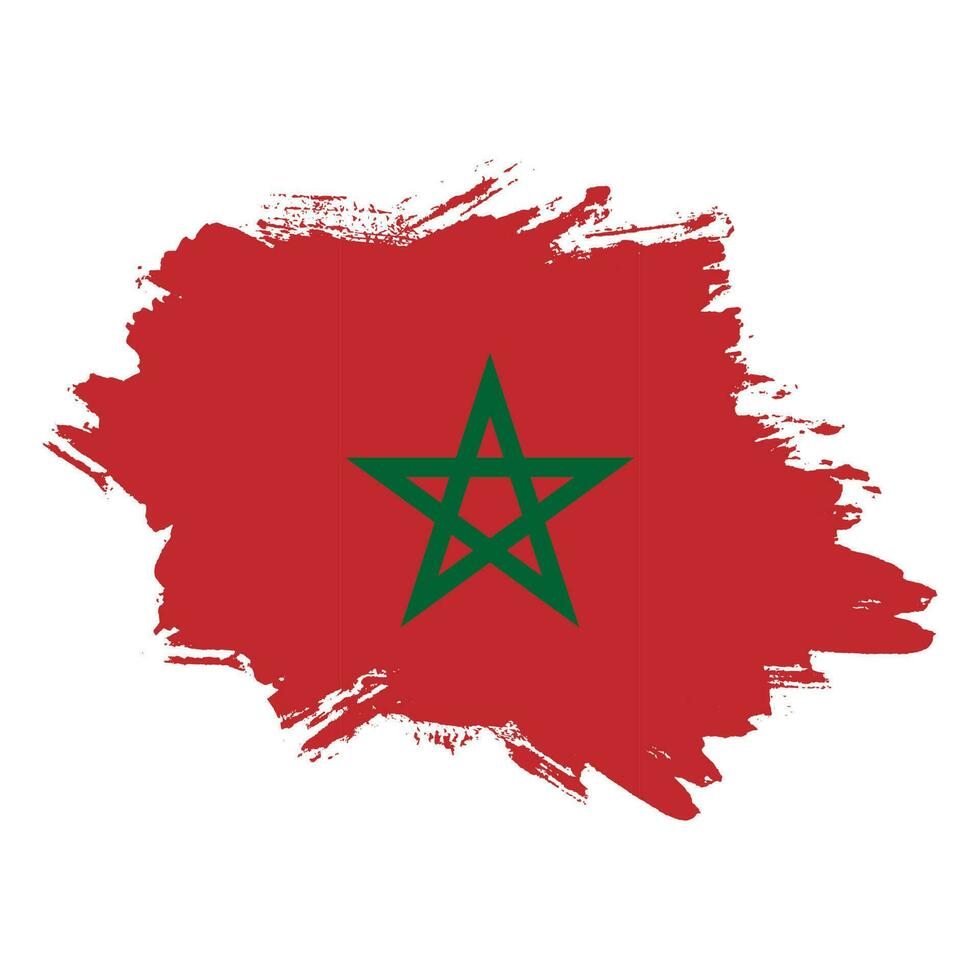 Professional Morocco texture flag vector