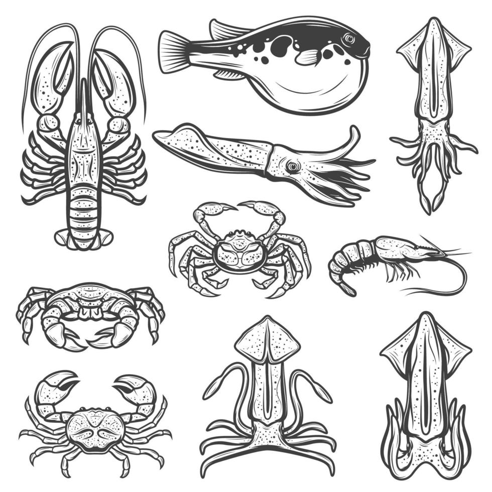 Lobster, squids, crab, shrimp, fugu. Seafood, fish vector