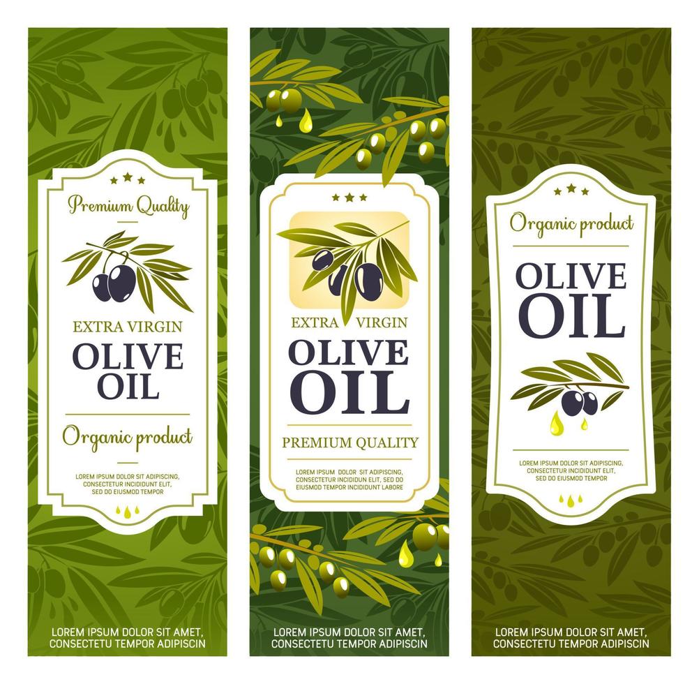 Extra virgin olive oil, product bottle package vector