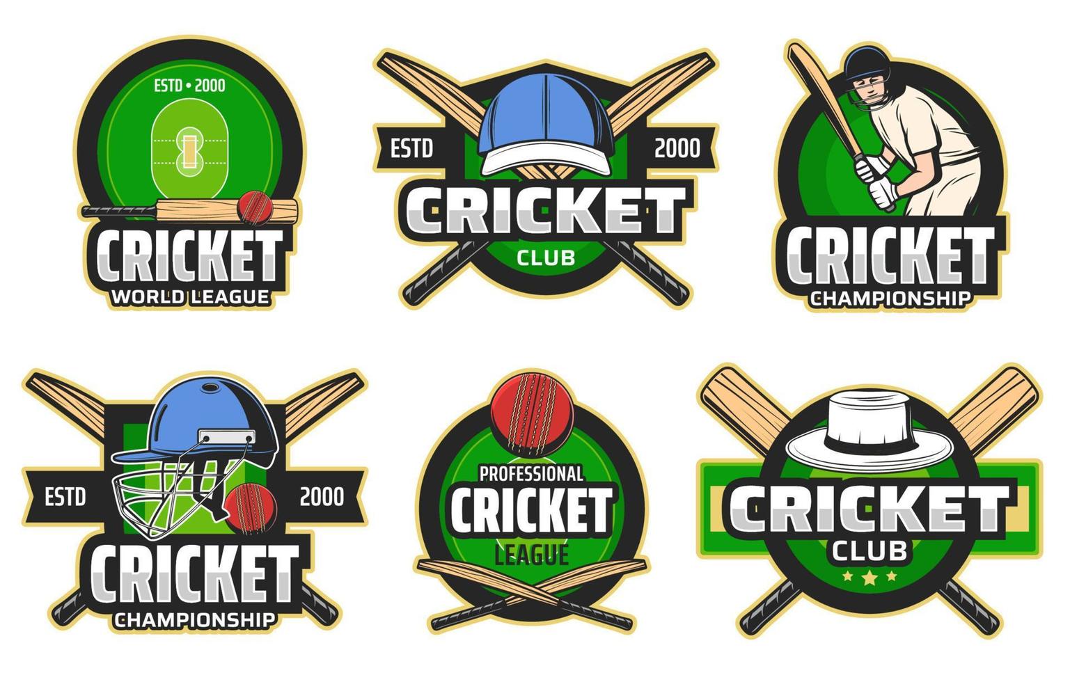 Cricket sport items and player vector icons