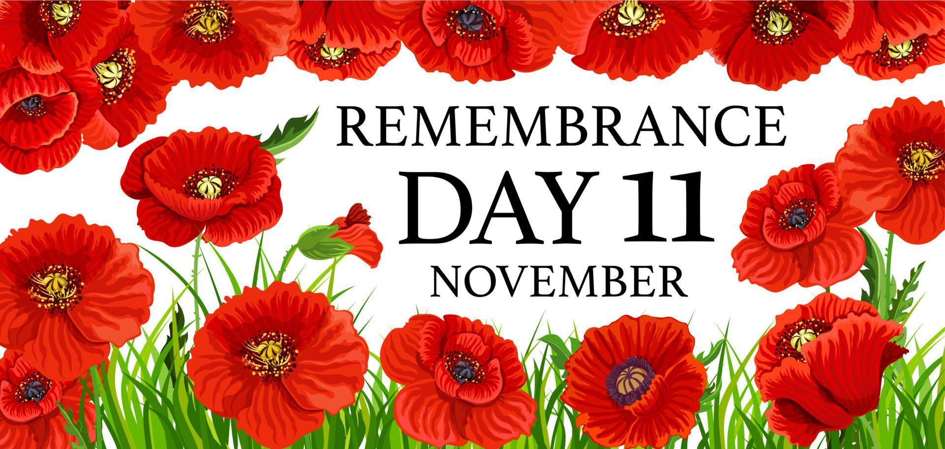 11 November remembrance day poppy flowers vector