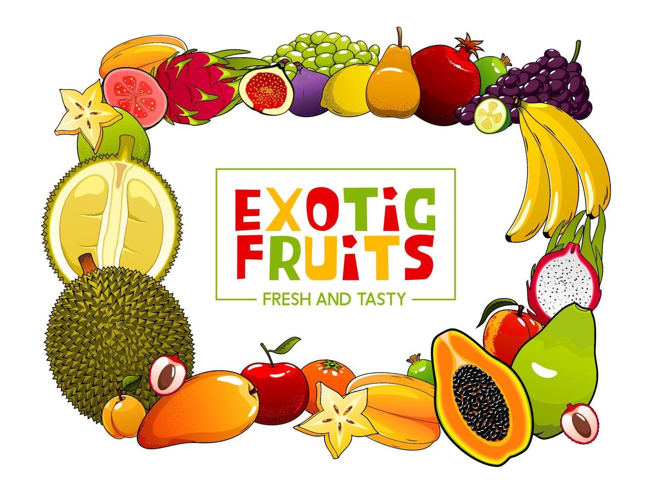 Summer food vector frame of exotic tropical fruits