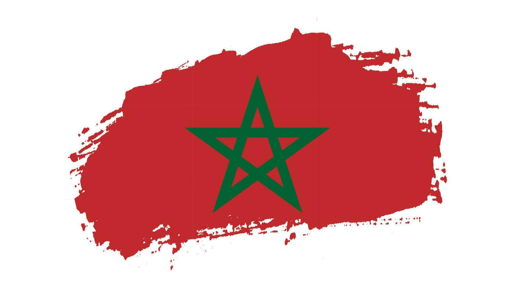 Professional Morocco texture flag vector