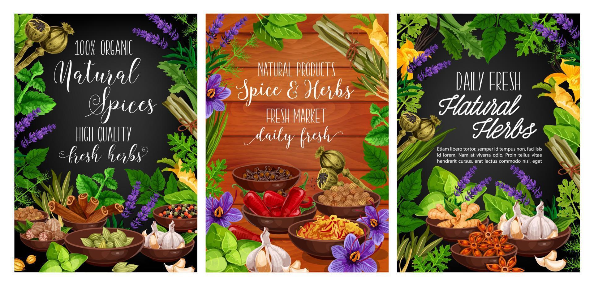 Green herbs, spices. Basil, thyme, mint and chilli vector