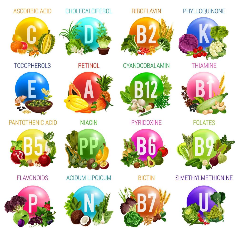 vitaminas y minerales, alimentos naturales organicos vector