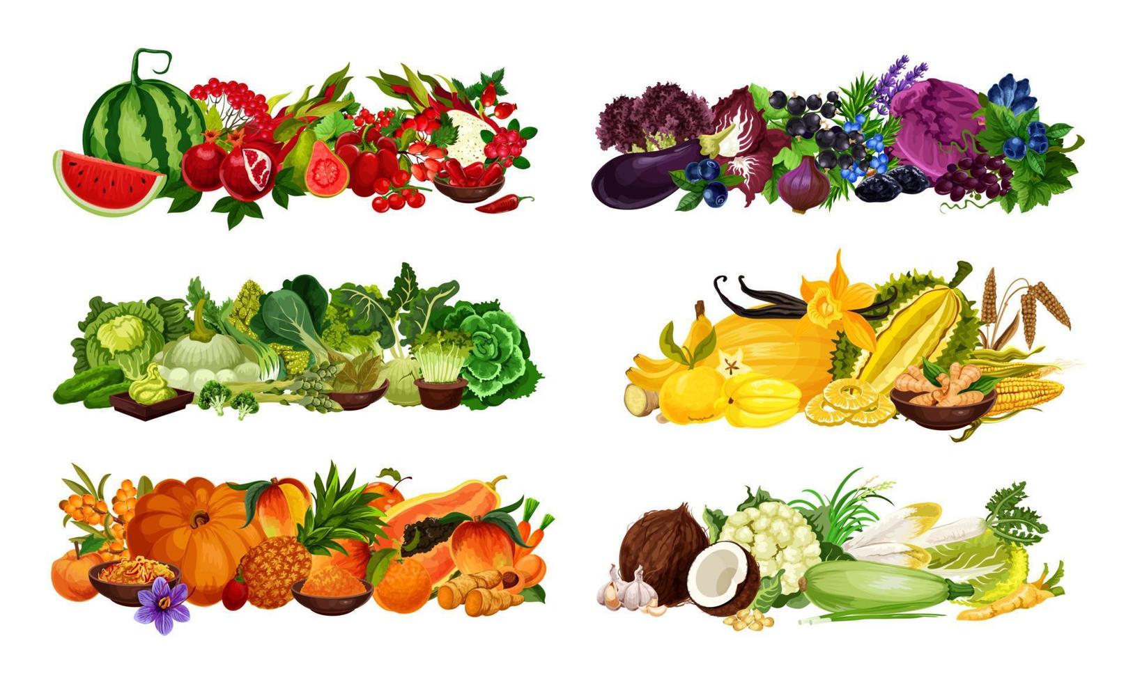 Healthy color diet, fruits and veggies, berries vector