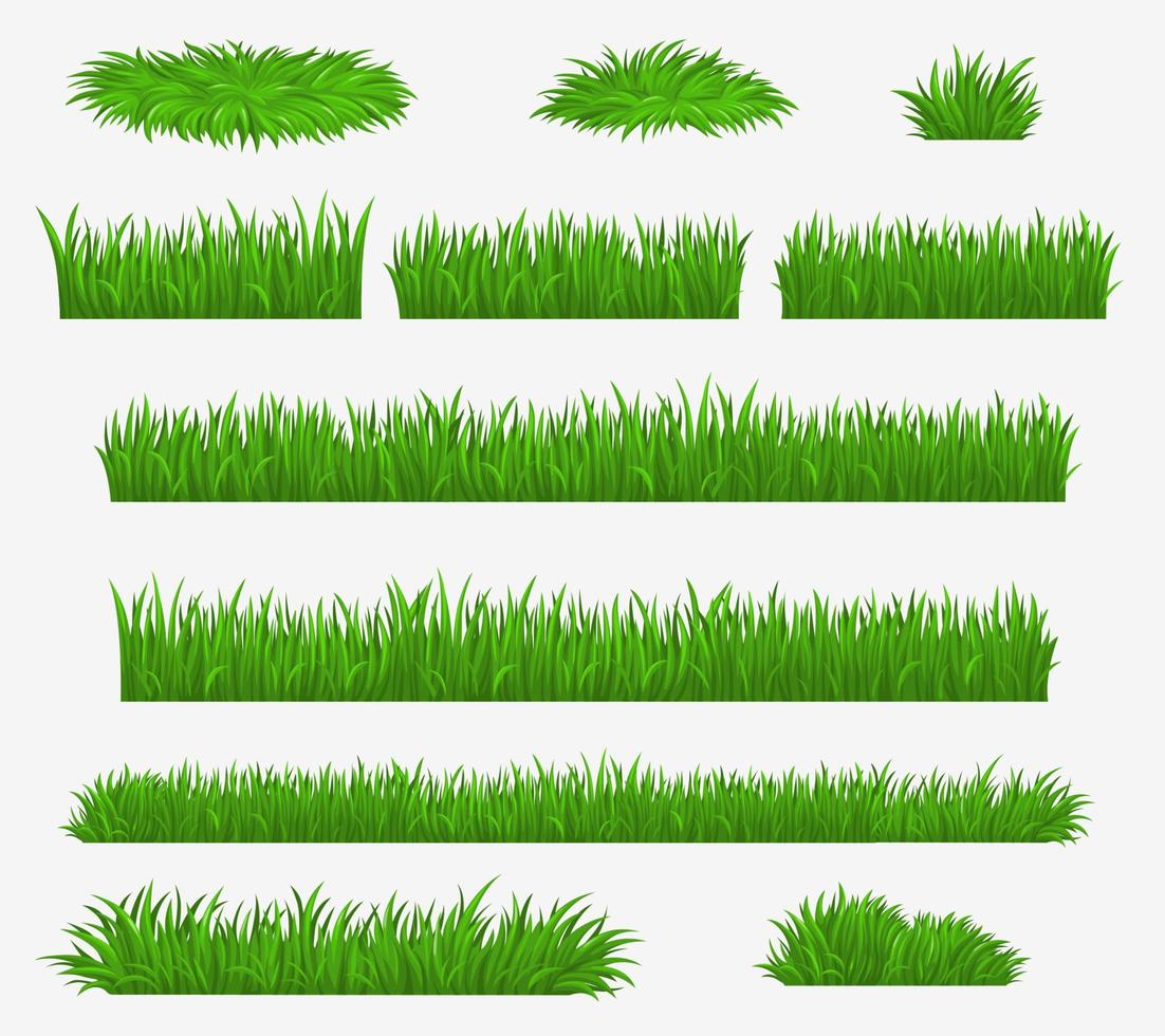 Green grass, media and farm field grass blades vector