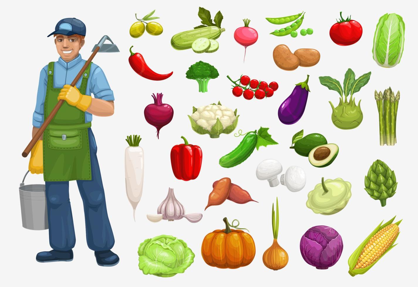 Farmer harvest vegetables garden agriculture icons vector