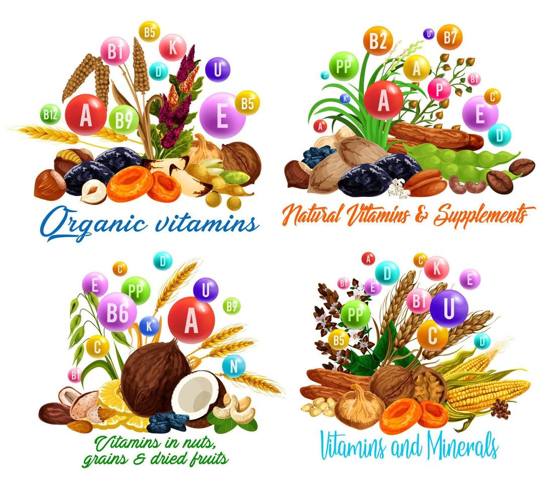 Nut, dried fruit, cereal and bean vitamins vector