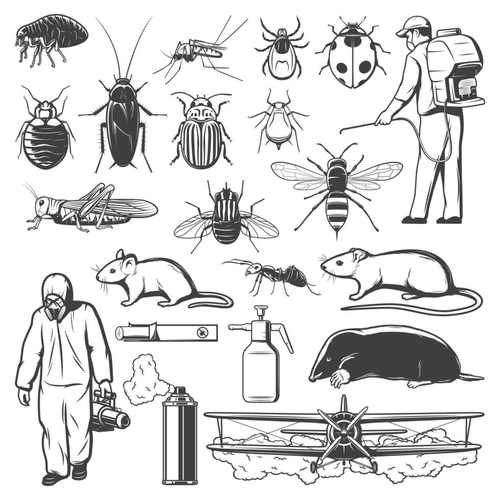 Pest control exterminator, insect and rodent icons vector