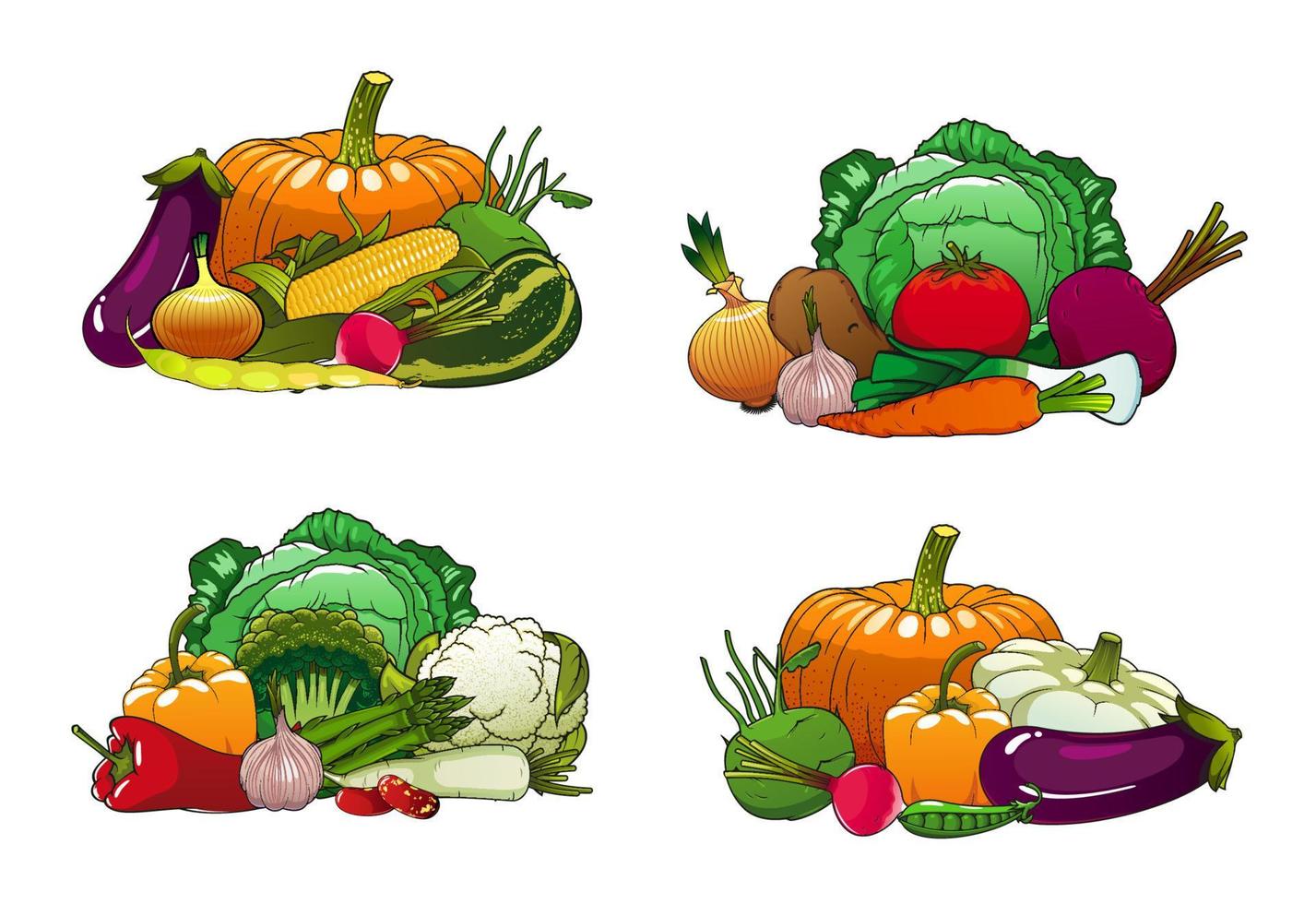 Vegetables, farm market cabbages and veggies vector