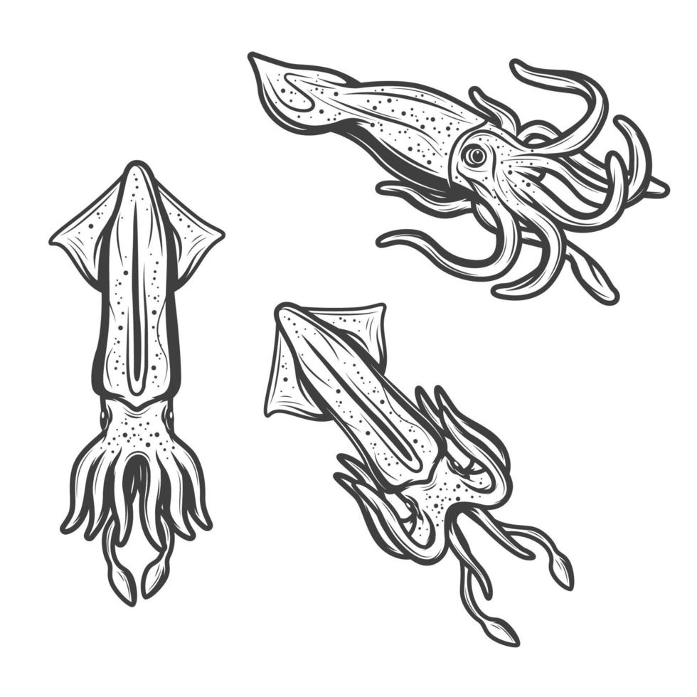 Squids, seafood and fishing monochrome icons vector