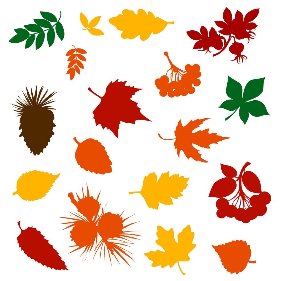 siluetas de hojas de otoño, bayas de serbal y piñas vector
