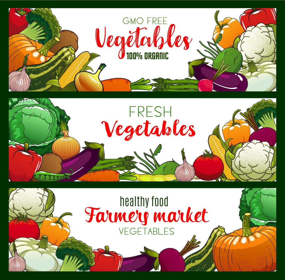 Vegetarian food, vegetables and farm veggies vector