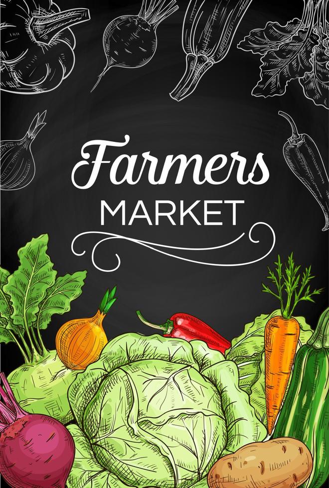 Fresh farm vegetable chalk sketches on blackboard vector