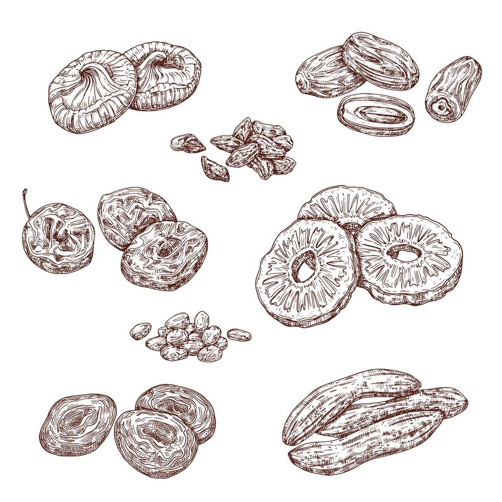 Candied berries and dried fruits food sketches vector