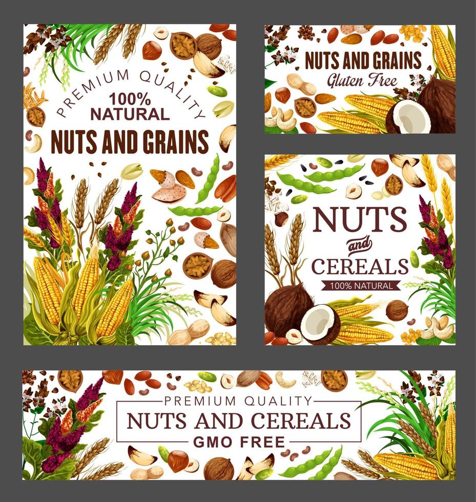 Almond, pistachio nuts, soy beans and cereal grain vector