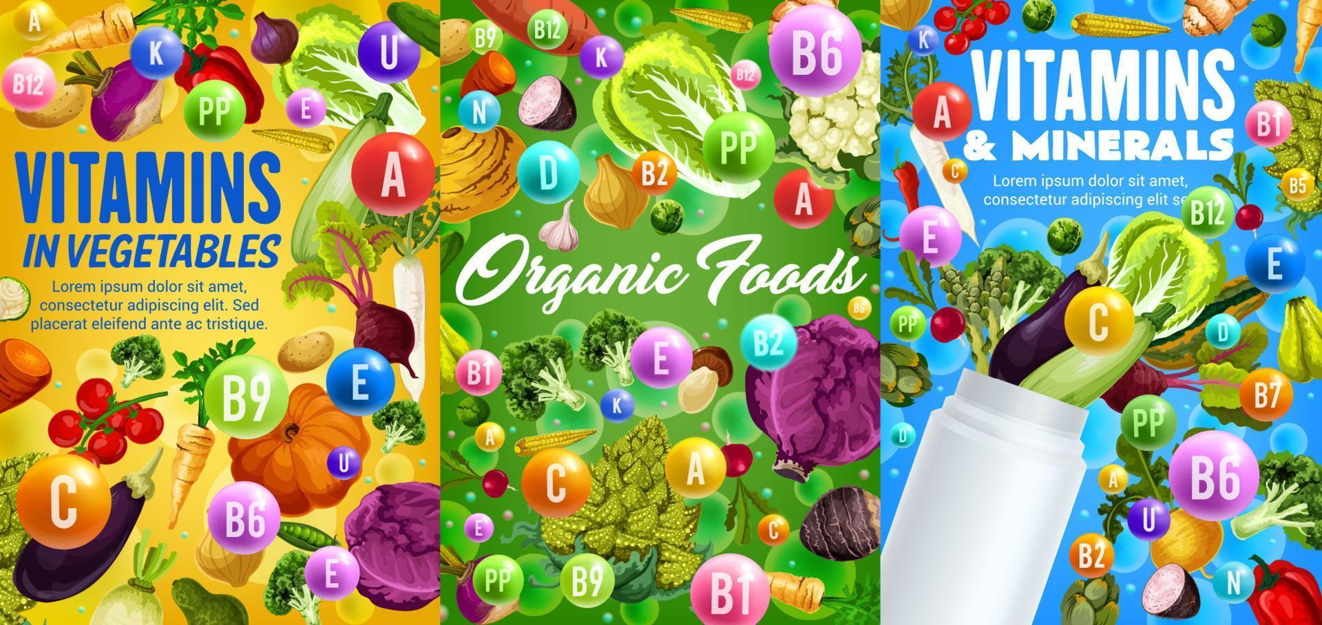 Vitamins and minerals in vegetables vector veggies