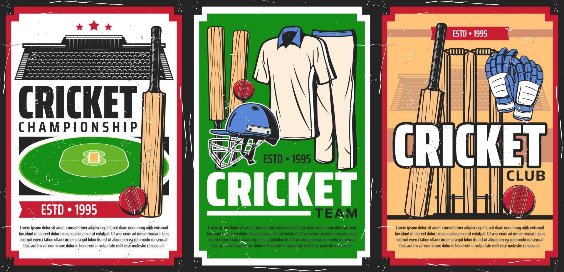 Cricket sport stadium and game equipment vector