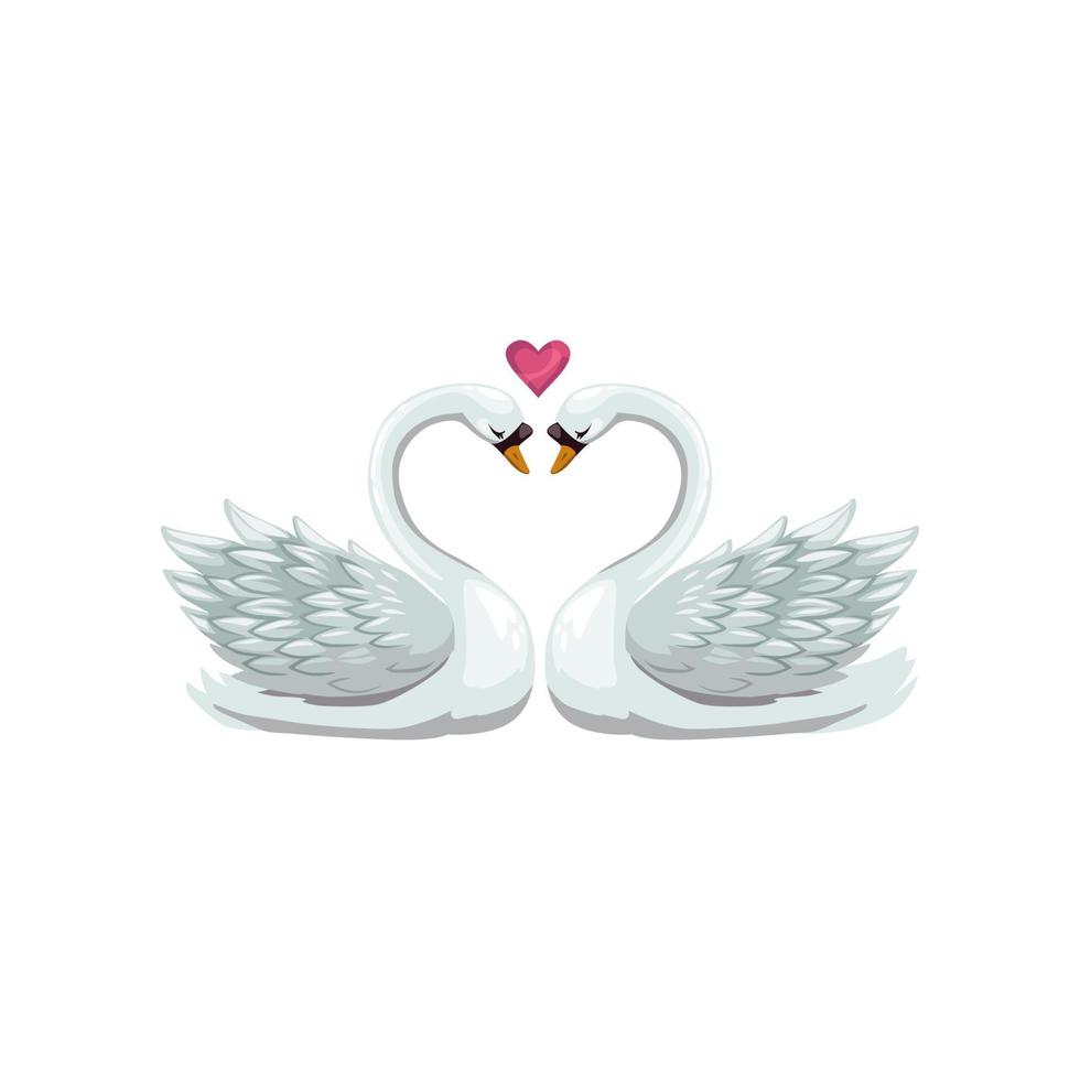 Swan birds in love isolated vector
