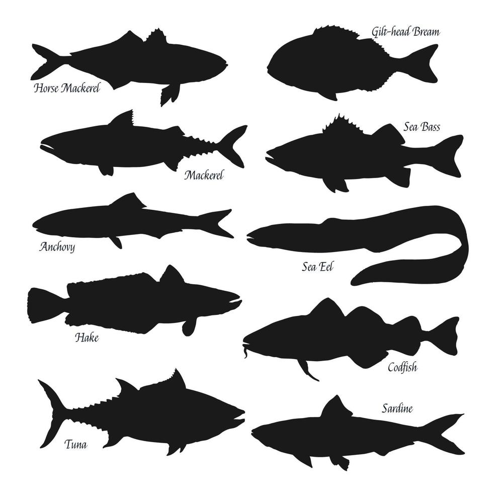 Sea and ocean fish black silhouettes vector