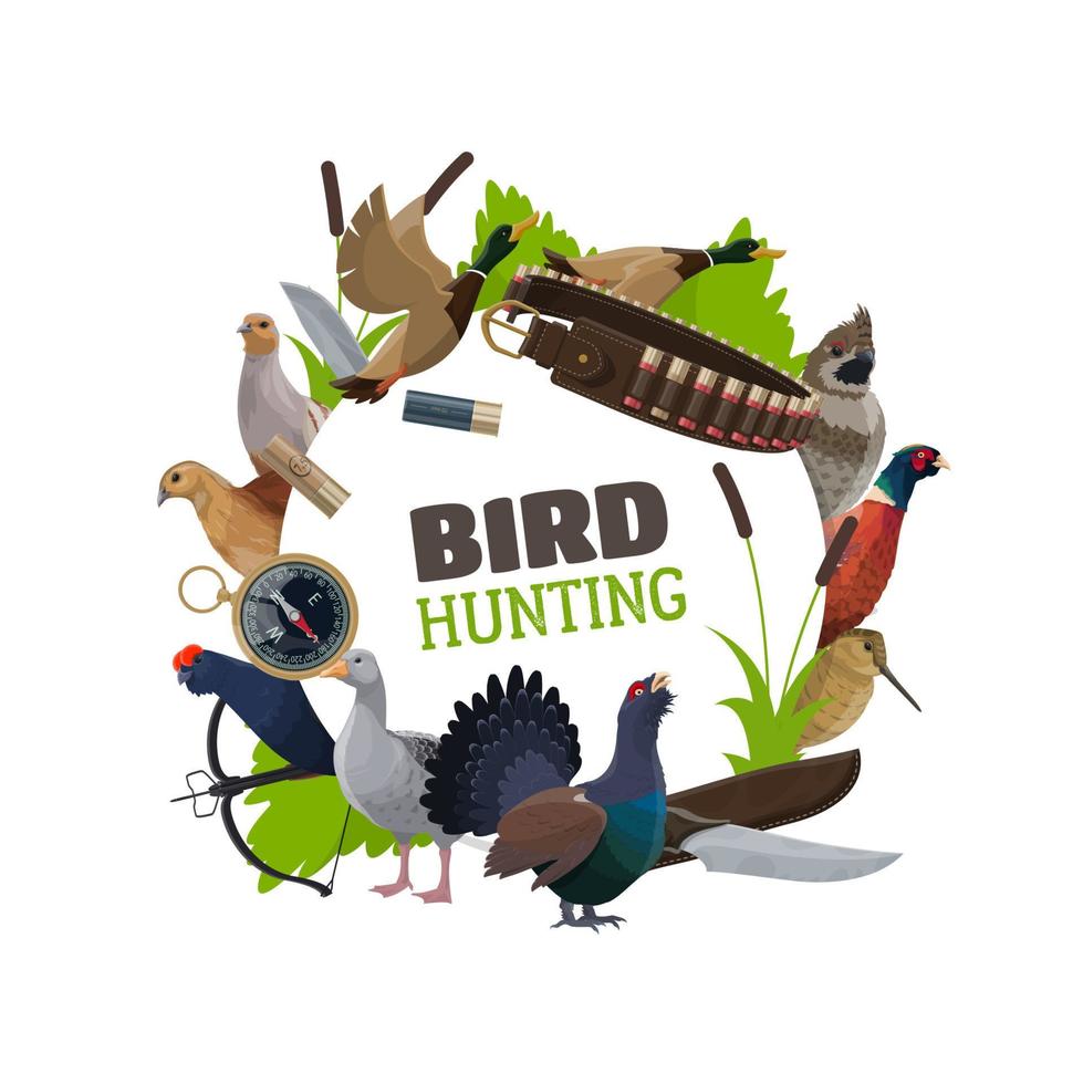 Wildfowl birds and hunting ammunition vector