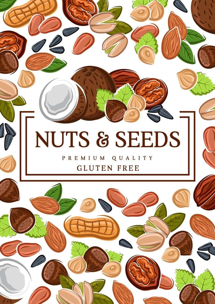 Gluten free food, vegan raw seeds and nuts vector