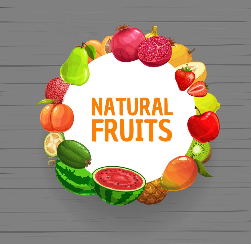 Tropical fruits and berries frame. Farm food vector