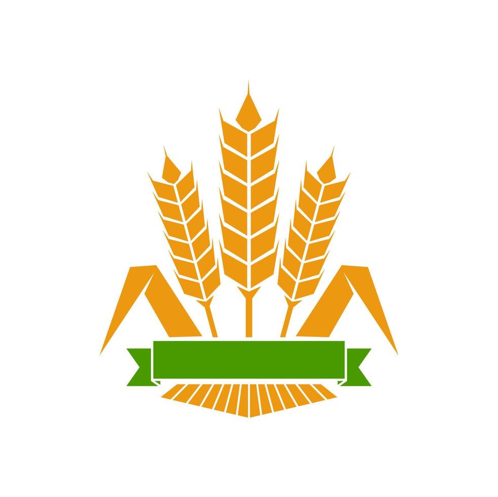 Cereal ear and spike icon of wheat and rye sheaf vector