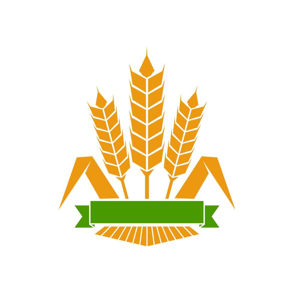 Cereal ear and spike icon of wheat and rye sheaf vector