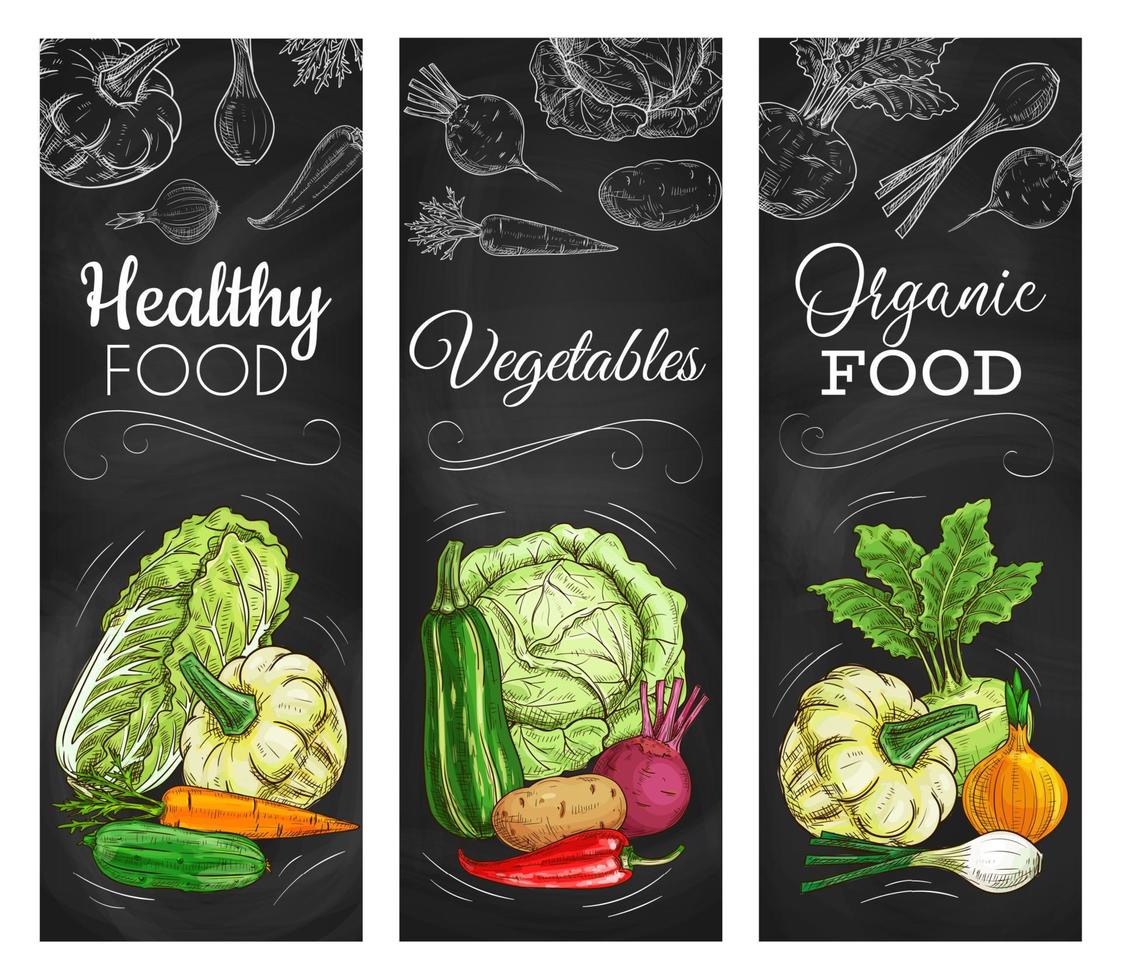 Cabbage, carrot, pepper vegetable on blackboard vector