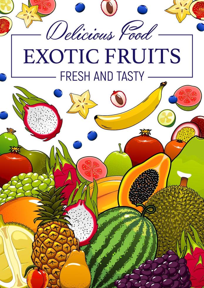 Exotic tropical fruits cartoon vector poster