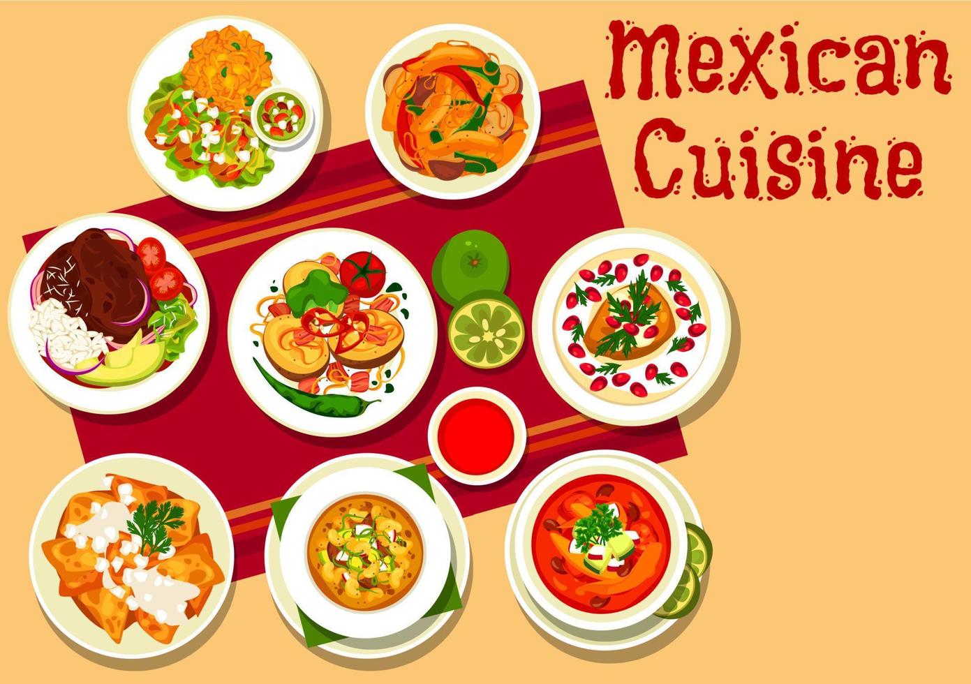 Mexican dishes with meat, vegetables, chilli sauce vector