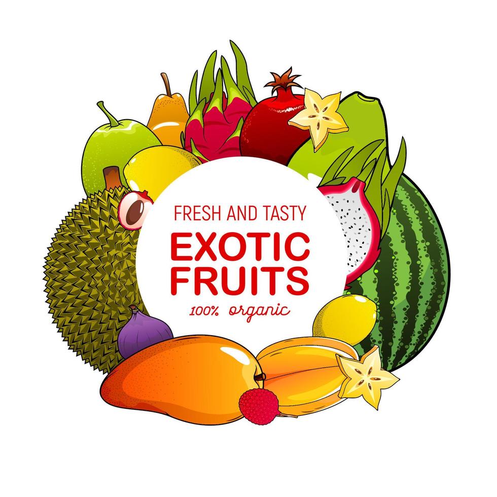 Mango, fig, lychee, watermelon. Fruit food icon vector