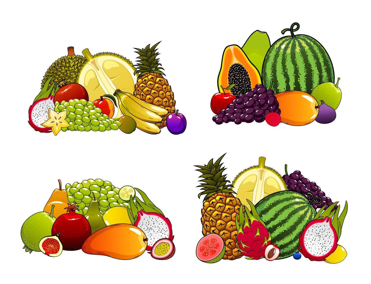 Exotic farm fruits, tropical fruity desserts vector