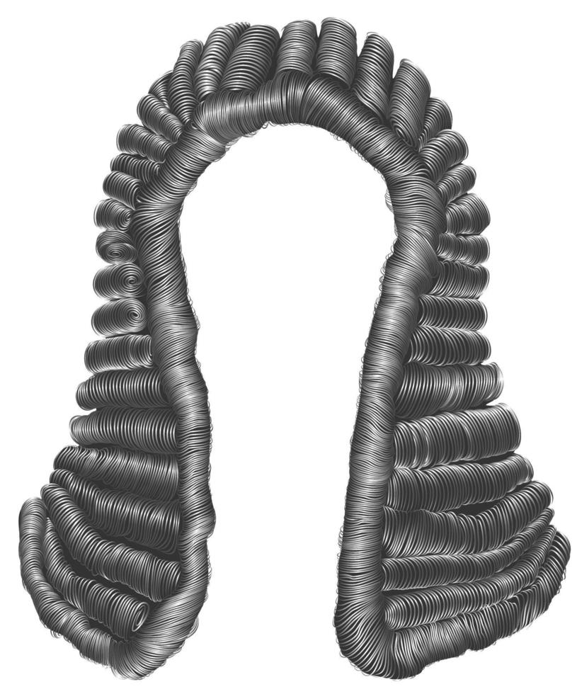 judge  wig gray hair curls. medieval style antique.realistic 3d . vector