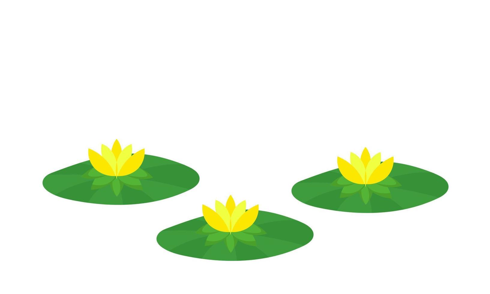 lotus and flower illustration vector
