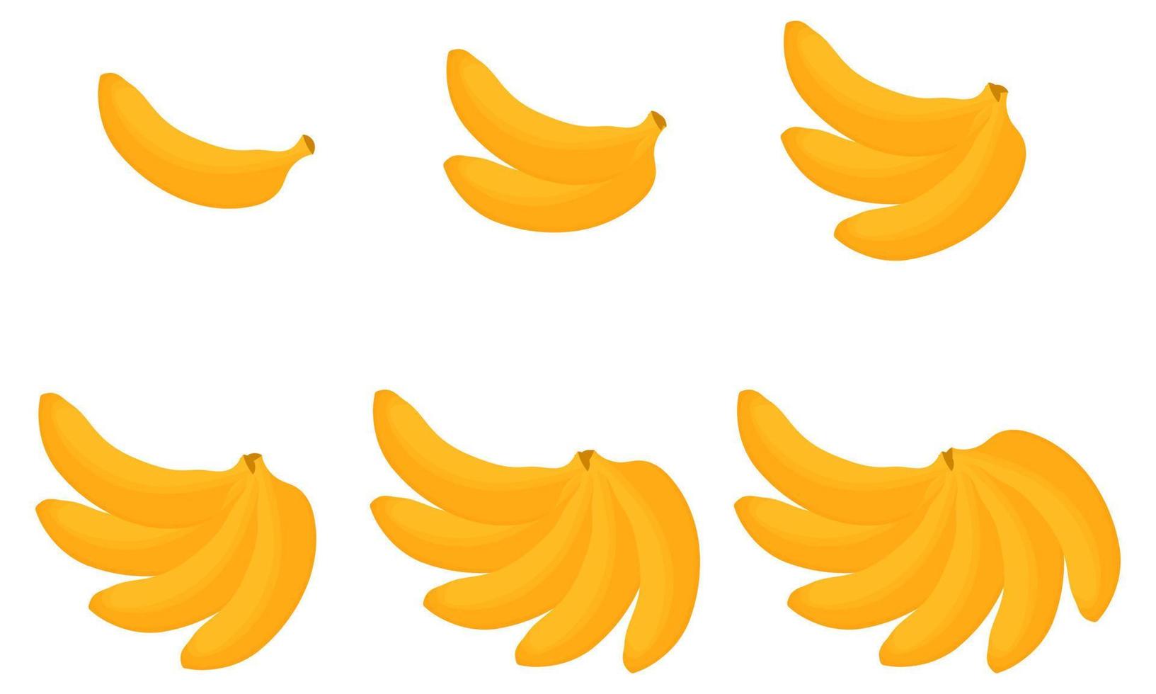 a collection of banana illustrations vector