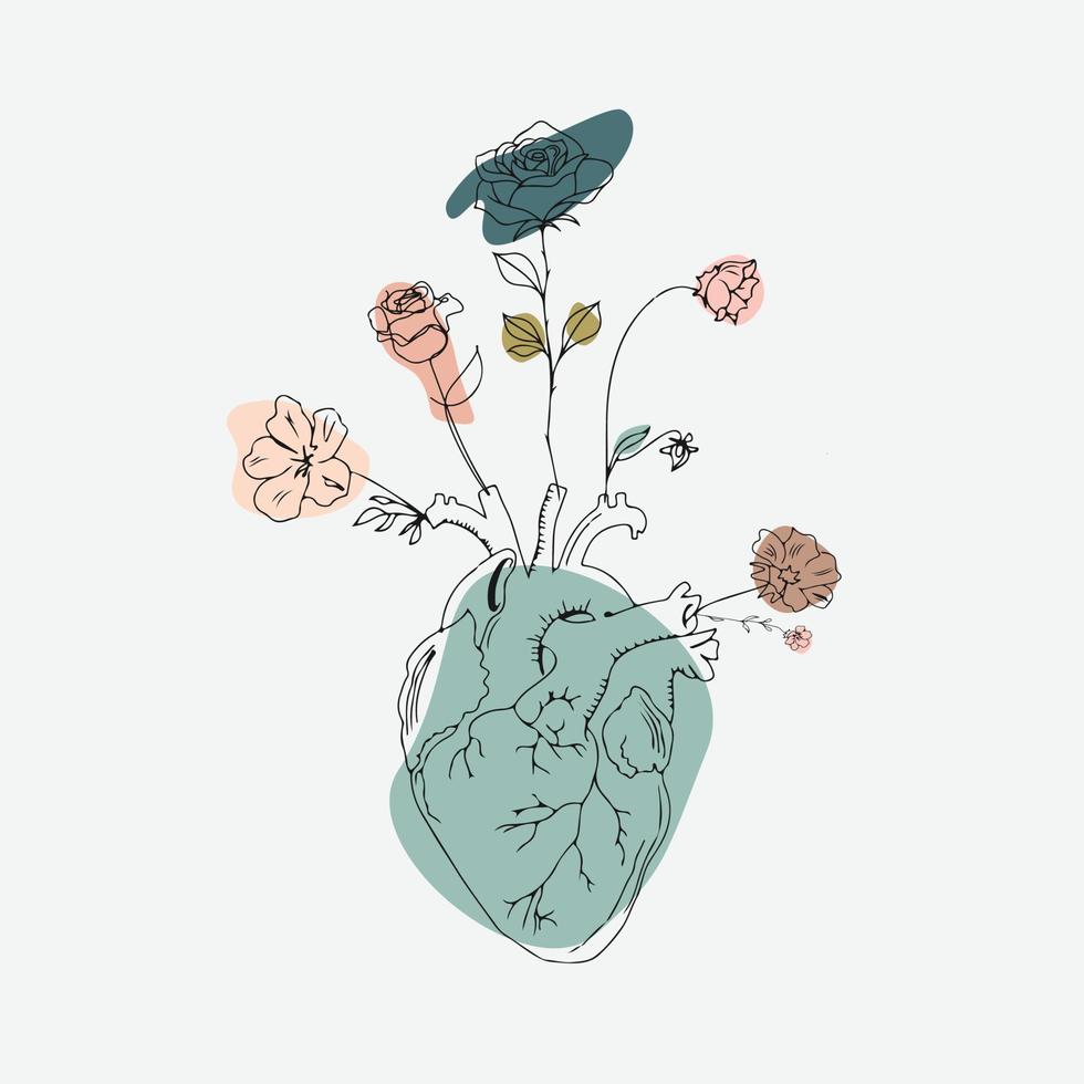line art anatomical heart silhouette. Healthy medicine concept design one sketch outline drawing vector illustration.