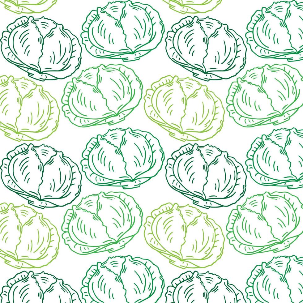 Vector seamless pattern with hand drawn cabbage on white background.