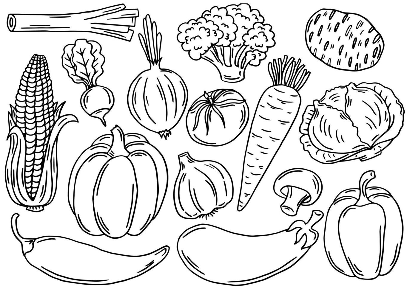 Vegetables Clipart Black And White Set Of Black Outline Vegetable Icons Hand Drawn Drawings Of Carrot Cabbage Broccoli Corn Pumpkin Sketch Food Illustration Doodle Silhouettes Of Harvest Elements Vector