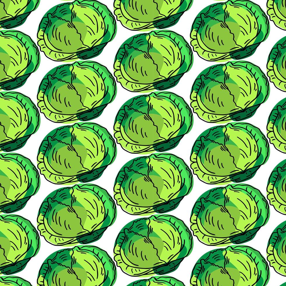 Vector seamless pattern with hand drawn cabbage on white background.