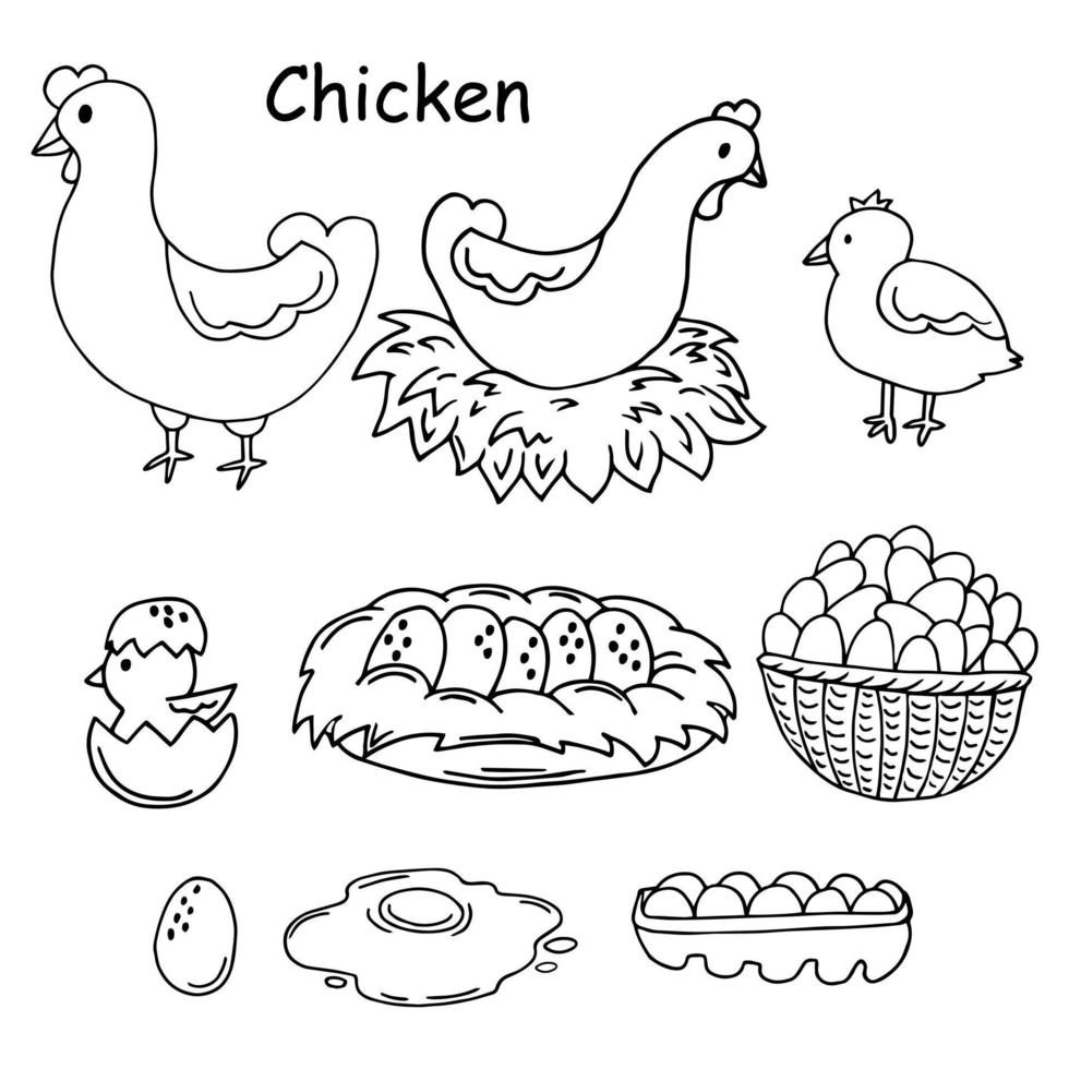 Chicken farm fresh eggs. Vector set of sketch design elements. Hen, poultry and little chicken, isolated on white background. Vector hand drawn vintage engraving illustration for poster.